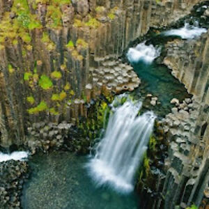 brandonjohnson_5 avatar