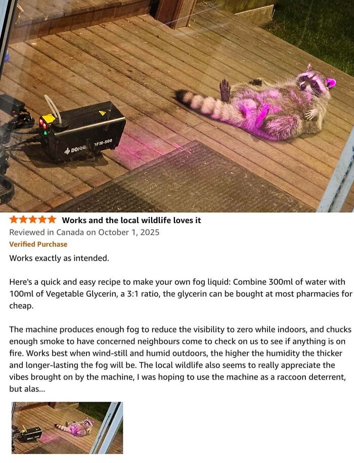 Raccoon lying on a wooden deck near a fog machine, with purple light highlighting the scene for hilarious Amazon reviews.