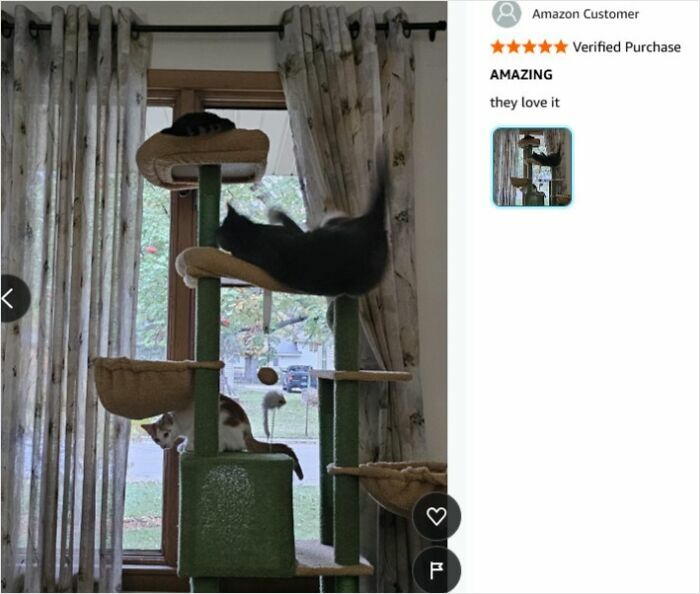 Three cats playing on a tall cat tree near a window in a living room, featured in a hilarious Amazon review.