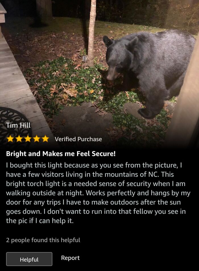 Black bear near porch at night, illustrating security needs, complementing hilarious Amazon eyeliner reviews with five stars.