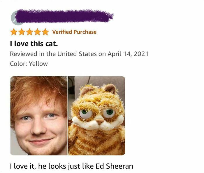 Five-star Amazon review with humorous text and side-by-side images of a man and a yellow cat plush toy.