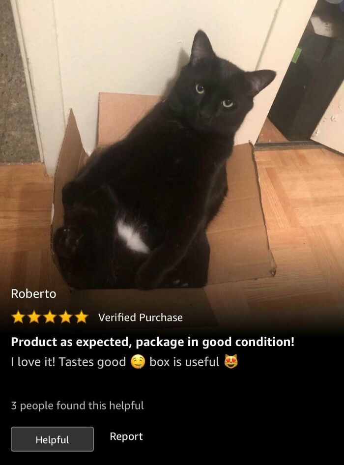Black cat comfortably sitting inside a cardboard box, featured in hilarious Amazon reviews of long-lasting eyeliner.