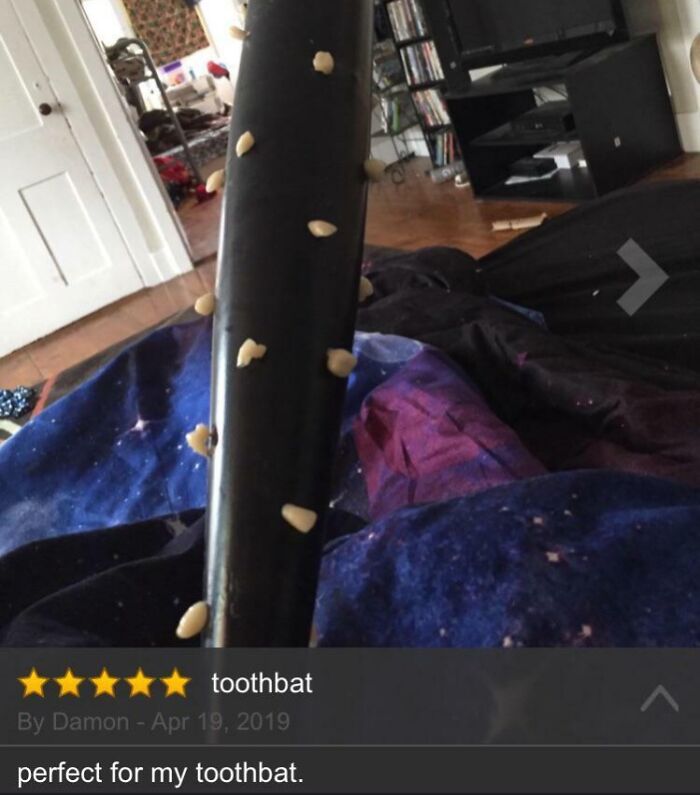 Black bat covered in small white objects, featured in a humorous Amazon review about eyeliner that won’t run.
