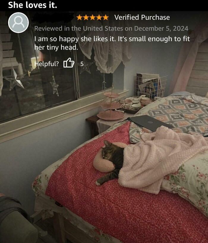 Cat wrapped in a soft blanket on a bed with cozy decor illustrating hilarious Amazon reviews of eyeliner.