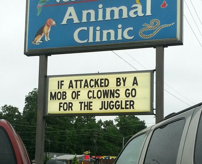 Animal clinic sign with funny advice about clowns and jugglers, a humorous piece of advice for entertainment.