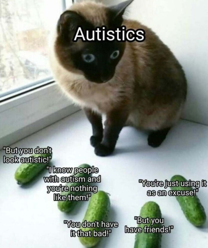 Funny-Relatable-Autism-Neurodivergent-Memes
