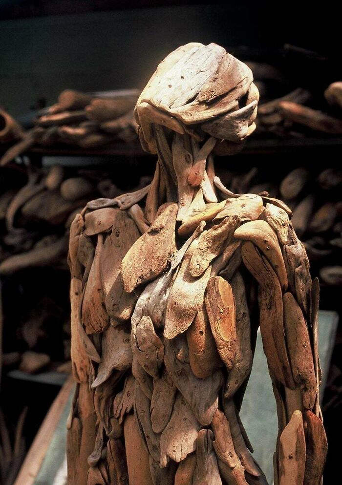 A human-like sculpture made entirely of weathered driftwood pieces, resembling armor or scales. Creepy images.