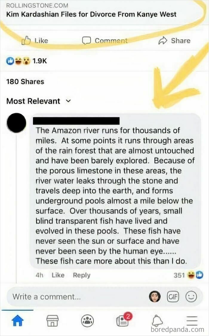 A Nice Little Science Lesson