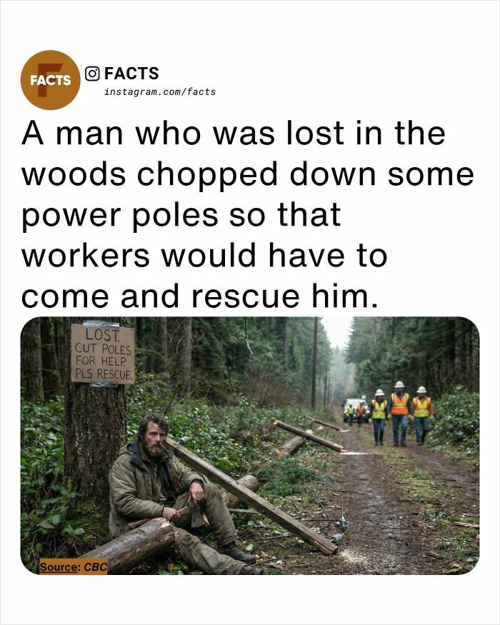 A man lost in the woods chops down power poles to get rescued, demonstrating interesting facts for daily brain-care.
