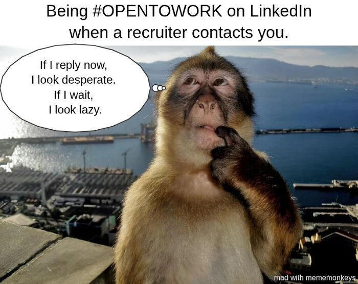 The Psychological Warfare Phase Of Job Hunting