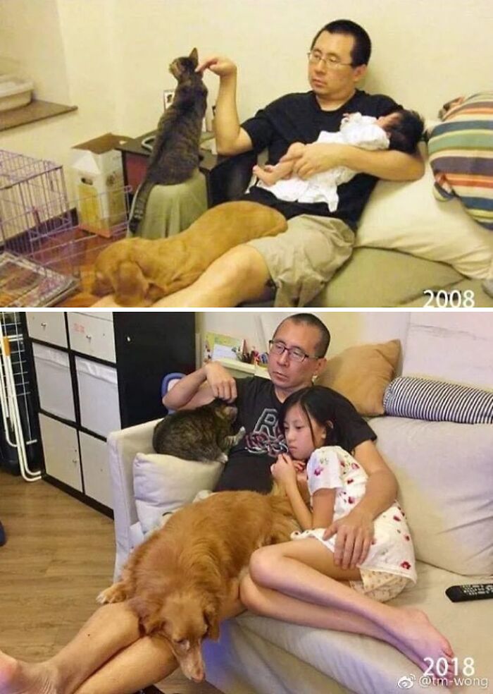 A man with his pets and child in 2008 and 2018. The photos show pets who have grown up alongside their owners.