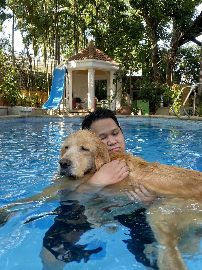 Man embraces a wet golden retriever in a pool. The dog's face shows mild dismay, capturing a moment of hilarious pets in water.