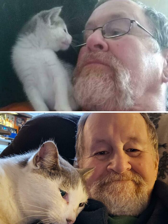 A man with a beard and glasses with his pet cat. Top image shows the cat as a kitten, bottom shows it grown up. Precious photos of pets who have grown up alongside their owners.