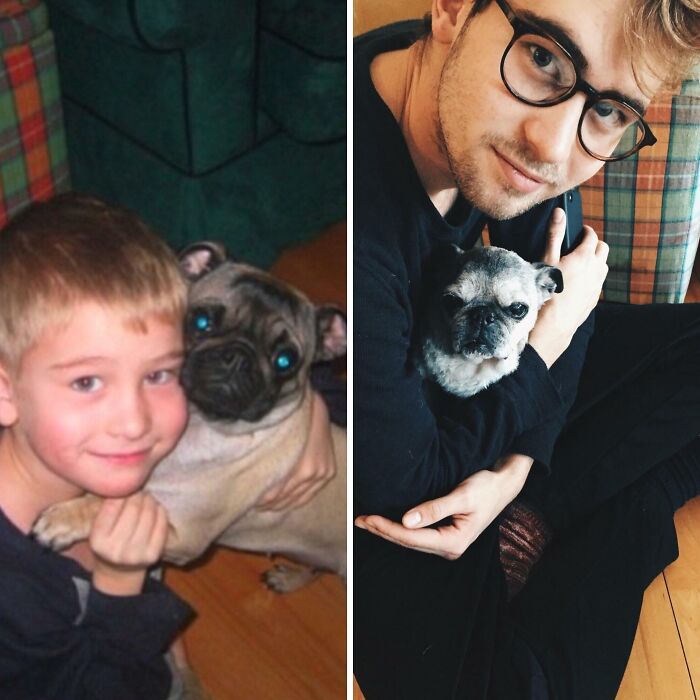 A boy with his pug in a before-and-after shot, showing pets who have grown up alongside their owners.