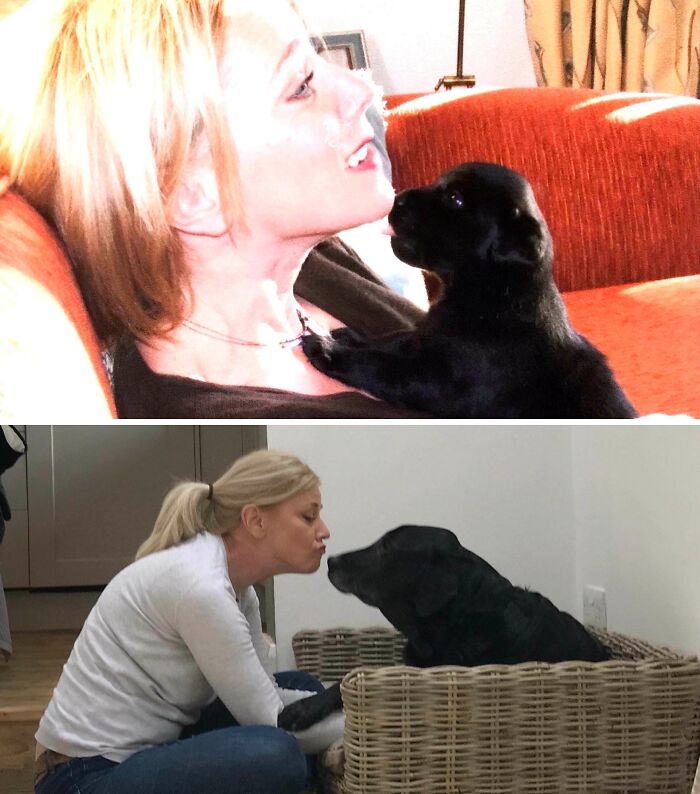 A blonde woman with her black lab, from puppy to adult, sharing loving moments. Precious photos of pets growing up.