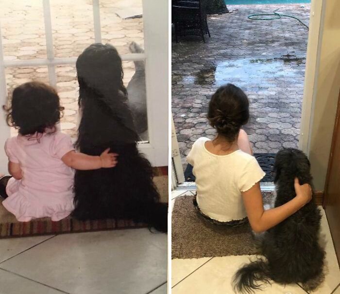 Two side-by-side photos of a girl and her black pet dog, showing them grown up together.
