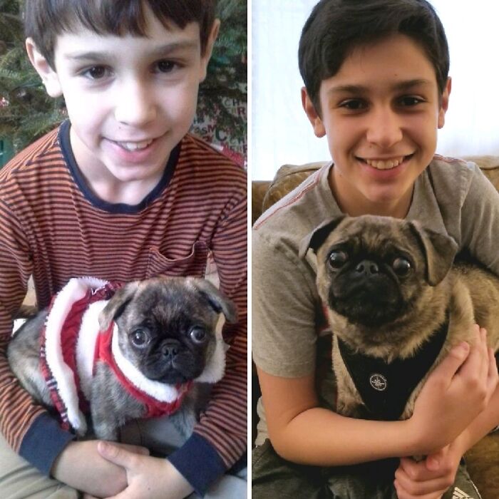 A boy and his pet pug grow up together. The left shows them young; the right shows them older, smiling.