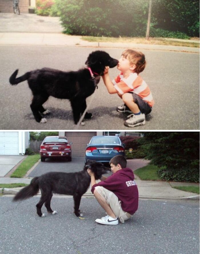Two precious photos: a boy and his pet dog, showing how they have grown up together, from puppy to adult dog.