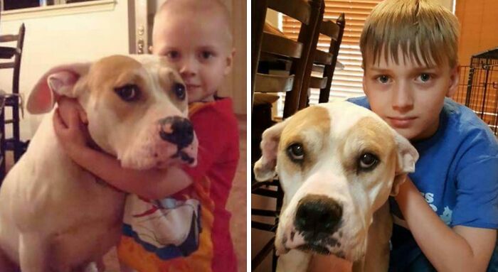 A child and their dog, years apart. The pet and owner have grown up together, showcasing their bond.