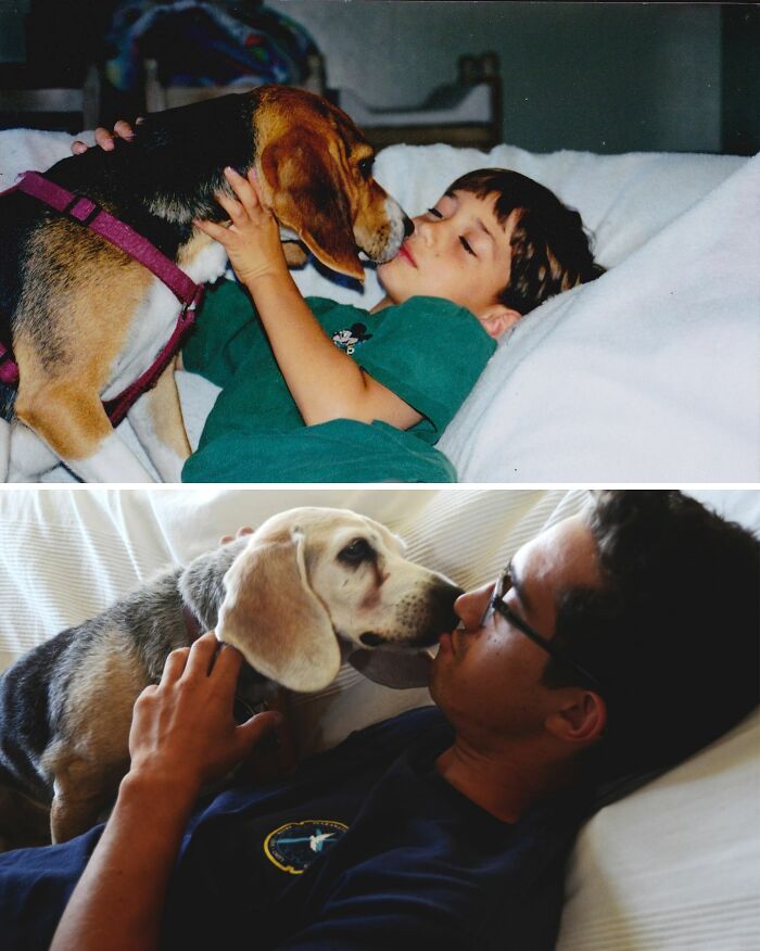 Two photos: a young boy with his pet dog, then the grown owner with the same aging dog, showing pets grown up.