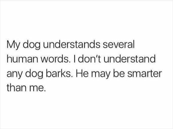 Funny dog meme about a dog understanding human words while owner doesn't understand dog barks, showcasing mischievous dogs humor.