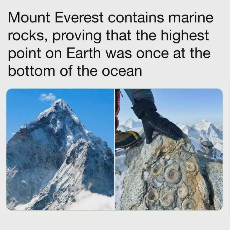 Mount Everest peak with snow and a fossilized marine rock section, illustrating interesting and fun facts about Earth's history.