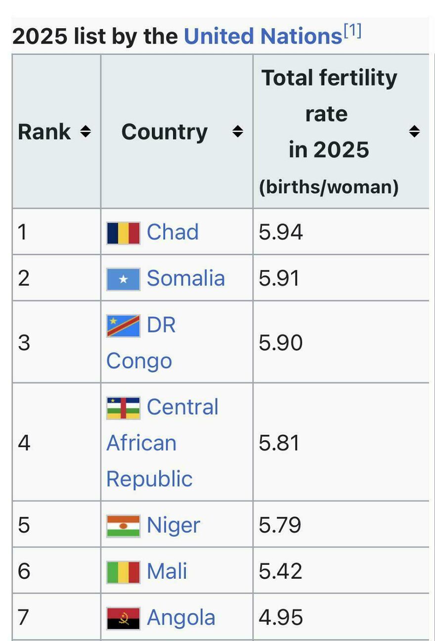 Top countries by total fertility rate in 2025, presenting interesting and fun facts about birth statistics worldwide.