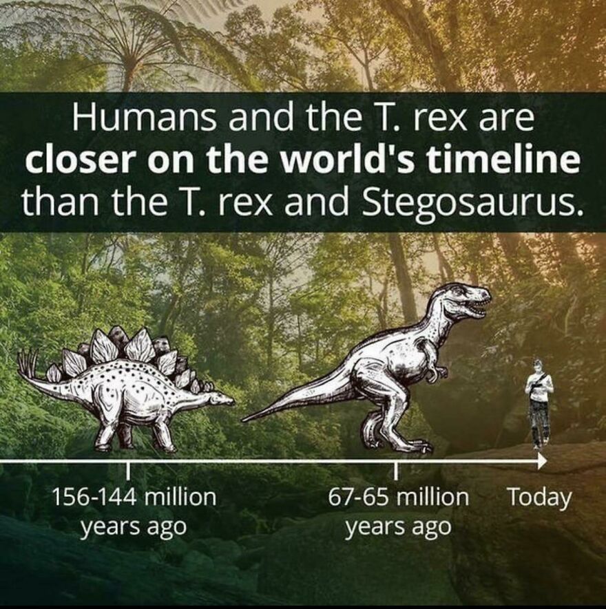 Timeline illustration showing humans are closer to T. rex than T. rex is to Stegosaurus with interesting fun facts.