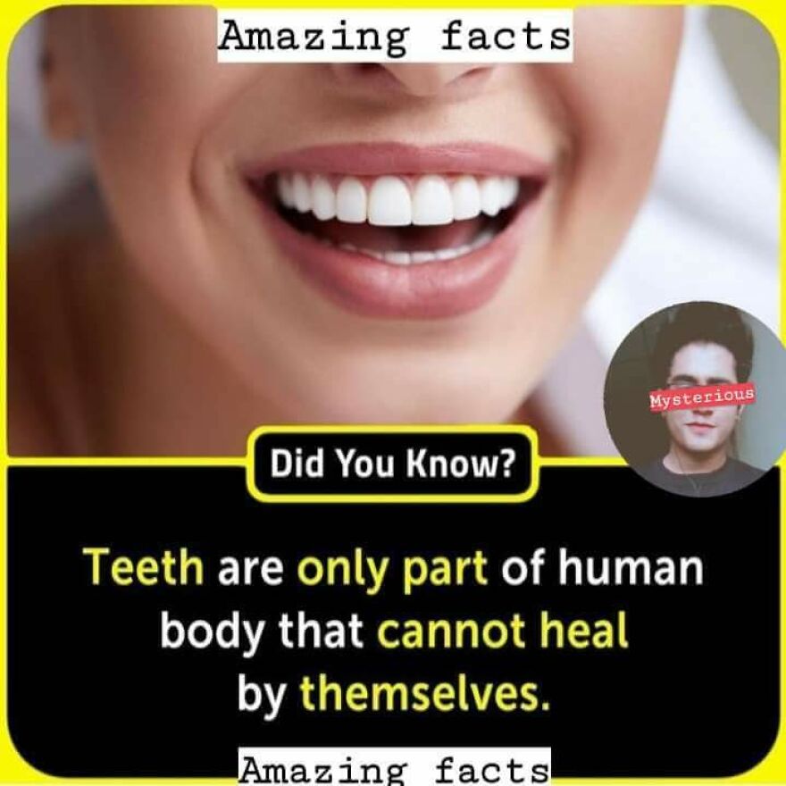 Close-up of a smiling person's mouth with a fun fact about teeth that cannot heal by themselves, learning interesting facts.