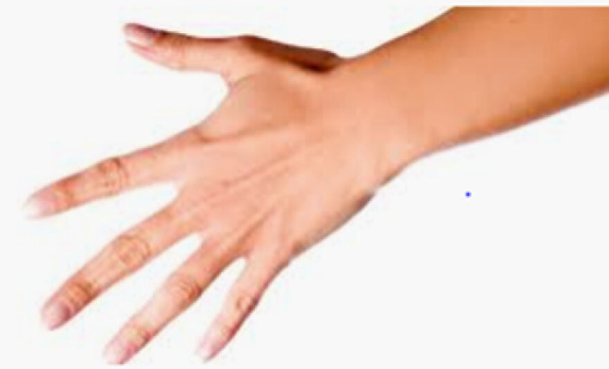 Close-up of a human hand with spread fingers, illustrating interest in learning fun and interesting facts.
