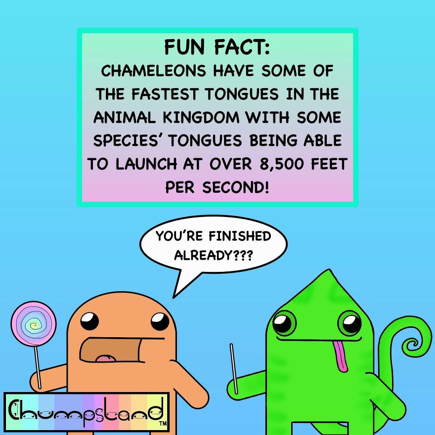 Fun fact about chameleons with one cartoon character holding a lollipop and another with its tongue out, sharing facts.