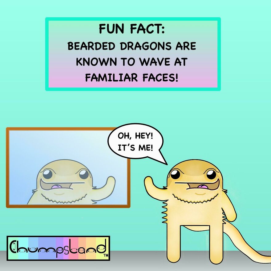 Illustration showing a bearded dragon waving at its reflection with a fun fact about learning interesting and fun facts.