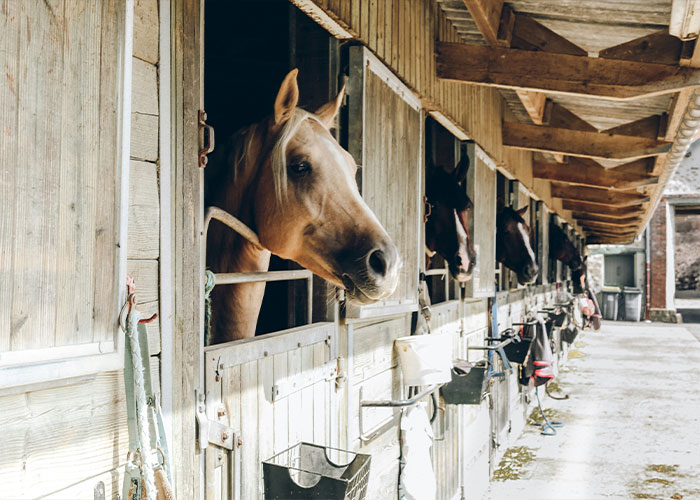 Depois que a menina desaparecida é encontrada viva após 32 anos, o investigador foi embora 