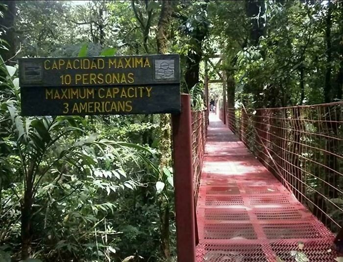 A sign in a lush forest showing a maximum capacity of 10 people or 3 Americans, an oddly specific rule for the bridge.
