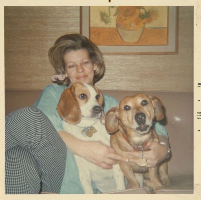 This Instagram Page Is Bringing Forgotten Dogs From History Back To Life In The Most Heartwarming Way(45 Pics)