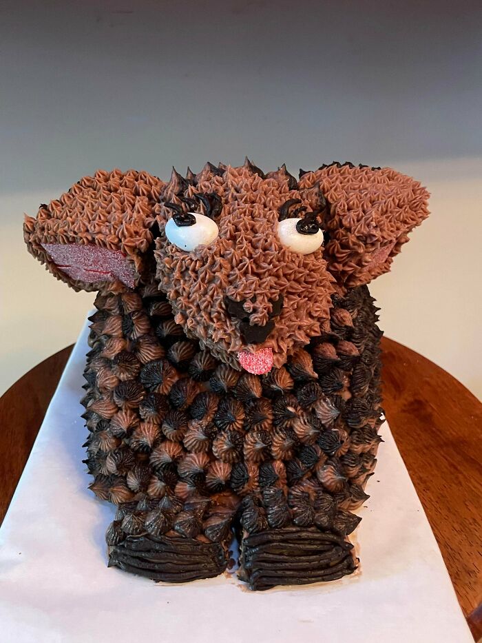 Chocolate dog cake with textured frosting and playful expression