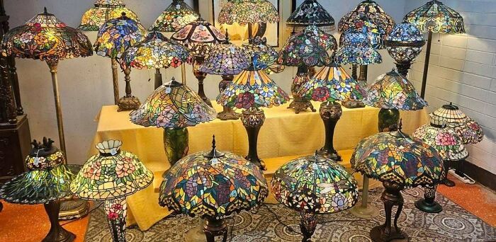 A large collection of colorful stained-glass lamps with intricate designs, beautifully displayed, showcasing a thrift store jackpot.