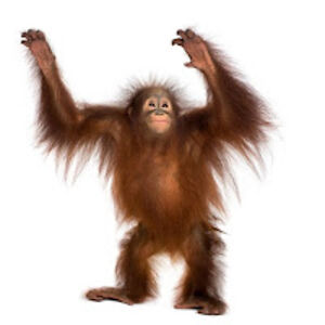 josephherrera avatar