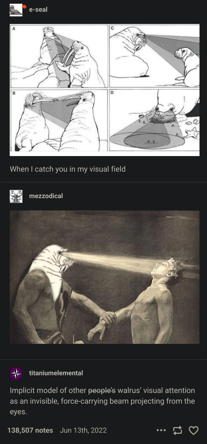 Illustration of walrus visual attention with beams from eyes, featured by Tumblr artists making the internet better.