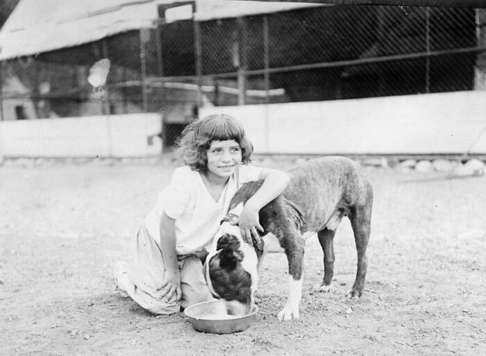 Young girl kneeling outdoors with a rare dog, captured in a rare and interesting photo from a vanished time.