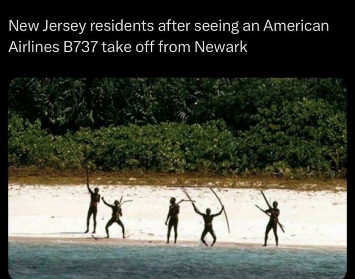 People on a beach holding sticks, captioned about New Jersey residents reacting to an American Airlines plane takeoff, reflecting depressing posts.