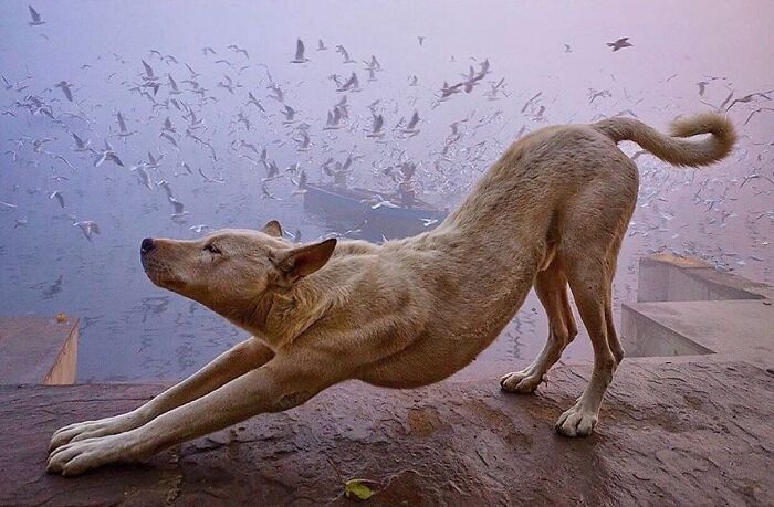 35 Brilliantly Timed Shots From The Decisive Moments Magazine That Capture Life At Exactly The Right Second