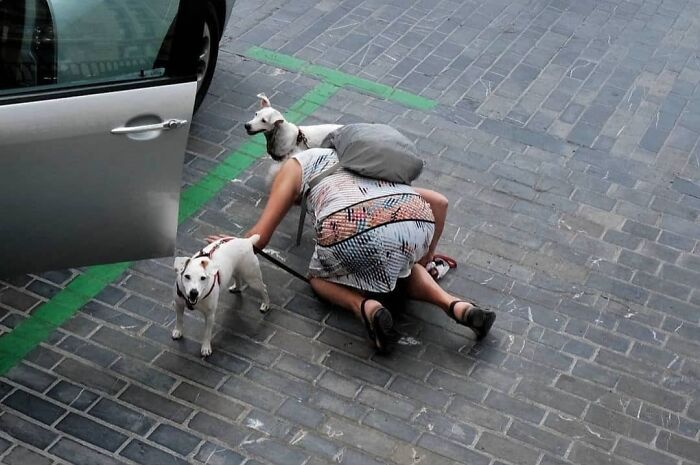 35 Brilliantly Timed Shots From The Decisive Moments Magazine That Capture Life At Exactly The Right Second