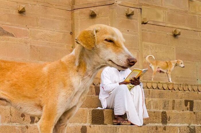 35 Brilliantly Timed Shots From The Decisive Moments Magazine That Capture Life At Exactly The Right Second