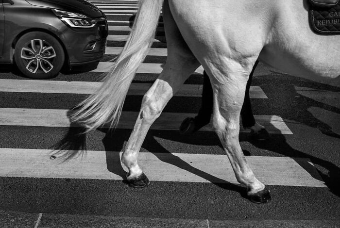 35 Brilliantly Timed Shots From The Decisive Moments Magazine That Capture Life At Exactly The Right Second