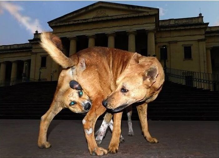 35 Brilliantly Timed Shots From The Decisive Moments Magazine That Capture Life At Exactly The Right Second