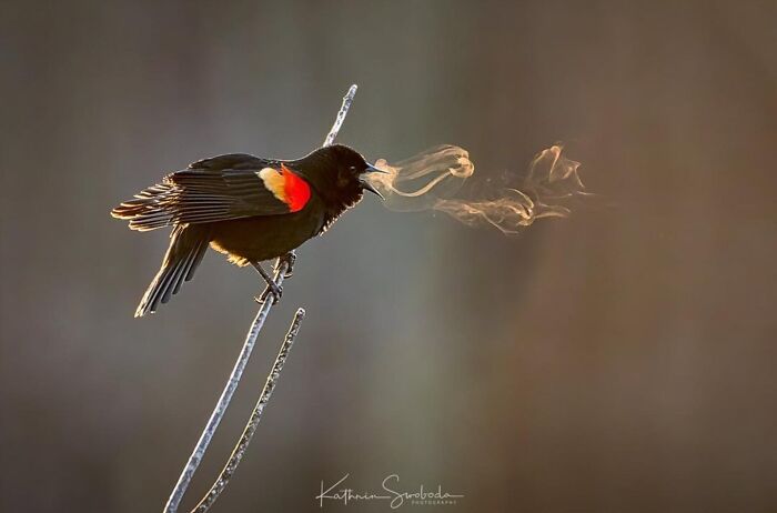 35 Brilliantly Timed Shots From The Decisive Moments Magazine That Capture Life At Exactly The Right Second