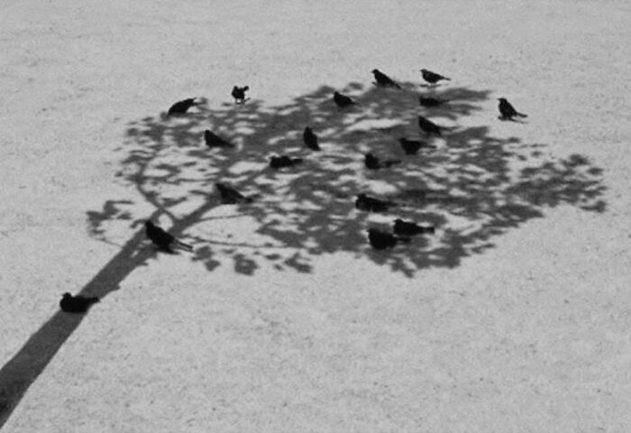 35 Brilliantly Timed Shots From The Decisive Moments Magazine That Capture Life At Exactly The Right Second