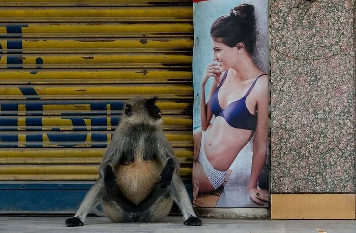 35 Brilliantly Timed Shots From The Decisive Moments Magazine That Capture Life At Exactly The Right Second