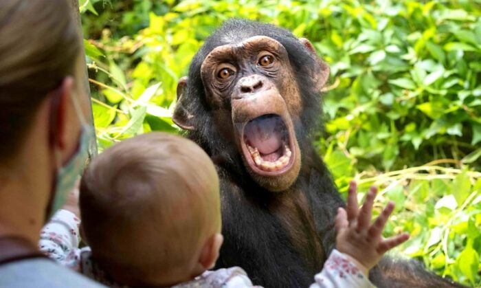 35 Brilliantly Timed Shots From The Decisive Moments Magazine That Capture Life At Exactly The Right Second